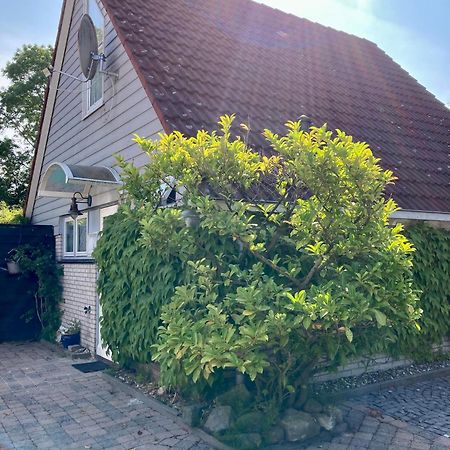 Gudrun 5 Pers Equipped House With Sauna. Dogs Are Welcome! Anjum Εξωτερικό φωτογραφία